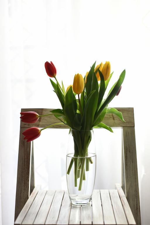 Apartments Kokolo شيبينيك الغرفة الصورة